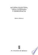 Acción colectiva, vida cotidiana y democracia