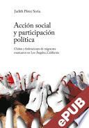 Acción social y participación política