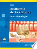 Anatomía de la Cabeza