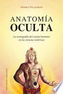 Anatomia Oculta