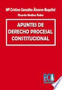 Apuntes de derecho procesal constitucional