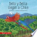 Beto y Bella llegan a Chile