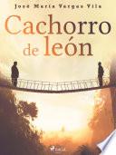 Cachorro de león