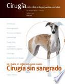 Cirugía sin sangrado. Cirugía en la clínica de pequeños animales