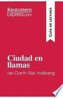 Ciudad en llamas de Garth Risk Hallberg (Guía de lectura)