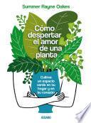 Cómo despertar el amor de una planta