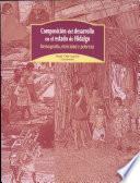 Composición del desarrollo en el estado de Hidalgo