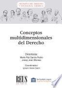 Conceptos multidimensionales del Derecho