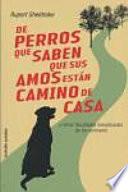 De perros que saben que sus amos están camino de casa