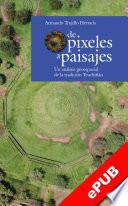 De pixeles a paisajes