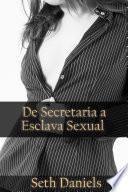 De Secretaria a Esclava Sexual