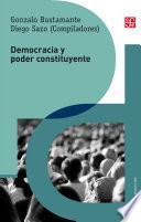 Democracia y poder constituyente