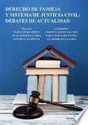 Derecho de familia y sistema de justicia civil: debates de actualidad