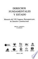 Derechos fundamentales y estado