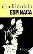 El cultivo de la espinaca