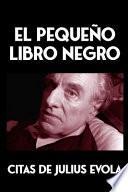 El pequeño Libro Negro