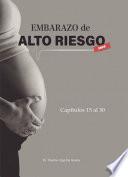 Embarazo De Alto Riesgo 2