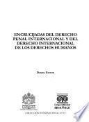 Encrucijadas del derecho penal internacional y del derecho internacional de los derechos humanos