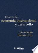 Ensayos de economía internacional