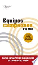 Equipos campeones