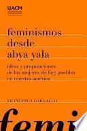 Feminismos desde Abya Yala