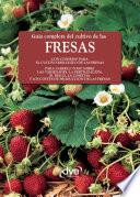 Guía completa del cultivo de las fresas