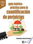 Guía teórico-práctica para la cuantificación de perjuicios