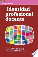 Identidad profesional docente