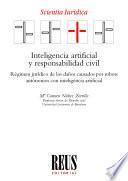 Inteligencia artificial y responsabilidad civil