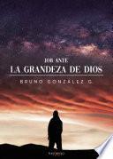 Job ante la grandeza de Dios