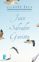 Juan Salvador Gaviota