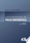 La filiación en las parejas homoparentales