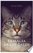 La magia de los gatos