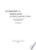 La seguridad y la justicia penal en México