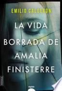 La vida borrada de Amalia Finisterre