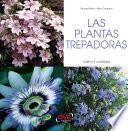 LAS PLANTAS TREPADORAS