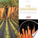 Las zanahorias