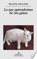 Lo que aprendemos de los gatos