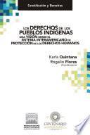 Los derechos de los pueblos indígenas una visión desde el sistema interamericano de protección de los derechos humanos.