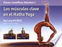 Los músculos clave en el hatha yoga