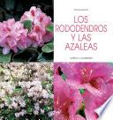 Los rododendros y las azaleas - Cultivo y cuidados