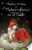 Metamorfosis en el cielo