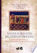 Nuevos horizontes del Derecho procesal