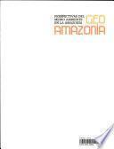 Perspectivas del medio ambiente en la Amazonía