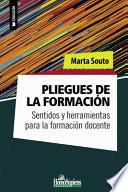 Pliegues de la formación