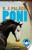 Poni / Pony