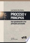 Proceso y Principios