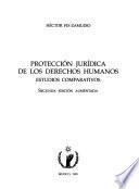 Protección jurídica de los derechos humanos