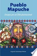 Pueblo Mapuche