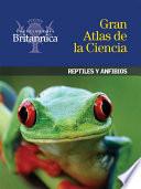 Reptiles y anfibios